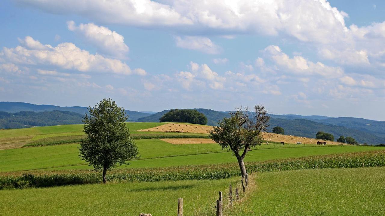 Lindenfels Ferienhof Knoll מראה חיצוני תמונה